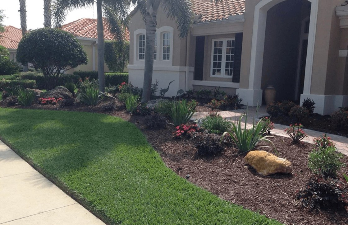 Healthy maintained Florida turf and landscape